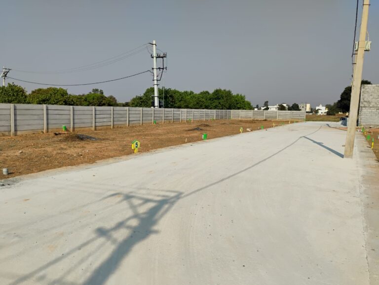 WhatsApp Image 2025-07-09 at 12.29.13 PM