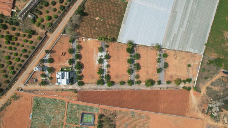 WhatsApp Image 2025-07-23 at 12.33.32 PM