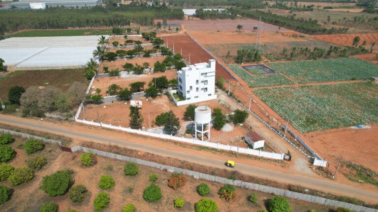 WhatsApp Image 2025-07-23 at 12.33.33 PM